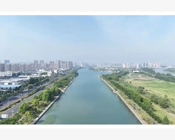 红茶VS绿茶：谁能更好地化痰？
